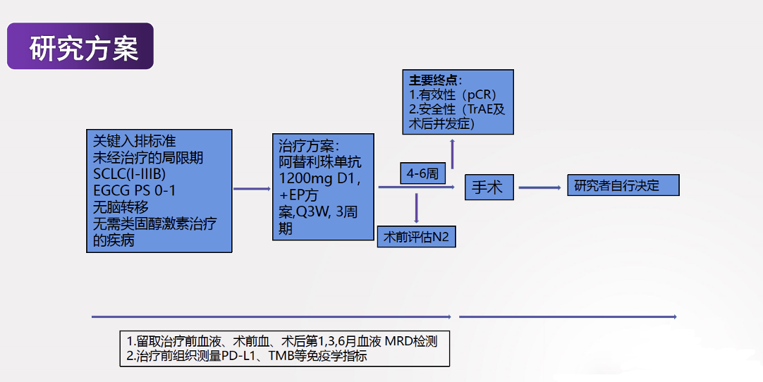 肺癌诊疗指南最新版，科技领航医疗，为生命护航