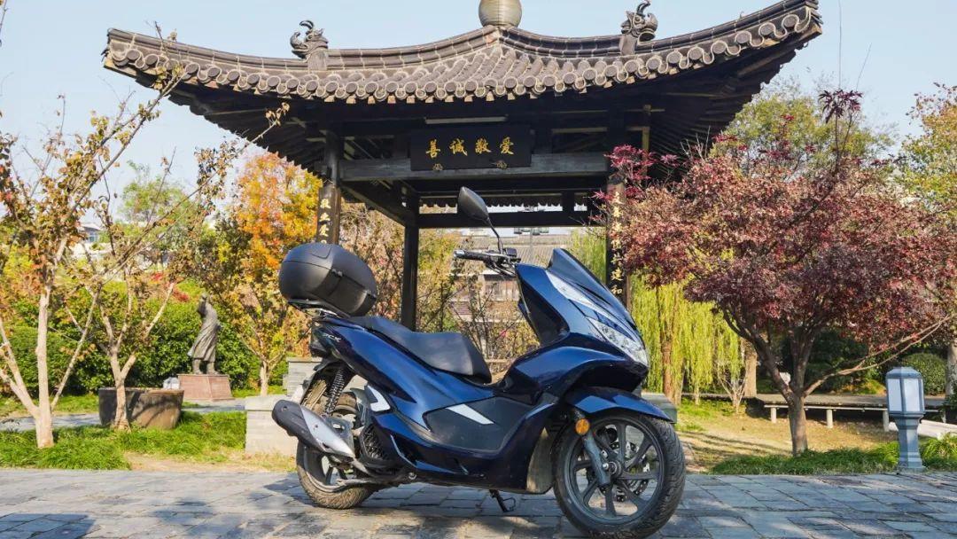 最新盗窃电动车案背后的故事，寻找内心平静的旅程
