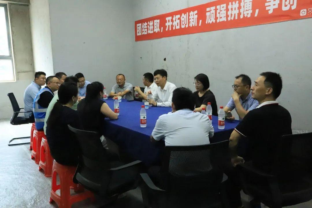 最新网络公司项目深度论述与探讨