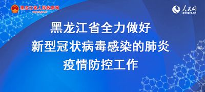 布市疫情最新动态，全面关注与应对措施更新报告