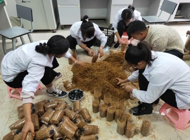 最新食用菌种植，挖掘土壤中的自信与成就感宝藏