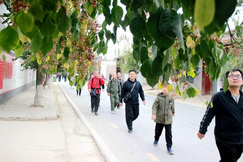 文交设最新消息,文交设最新消息，一场拥抱自然美景的心灵之旅