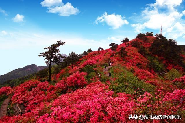探索自然美景之旅，寻找内心的平和与最新花花资讯