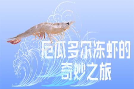 厄瓜多尔冻虾最新动态与温馨烹饪故事回顾