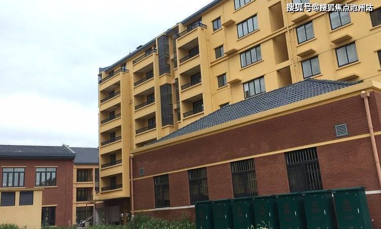 沐金农最新动态及观点分析概述