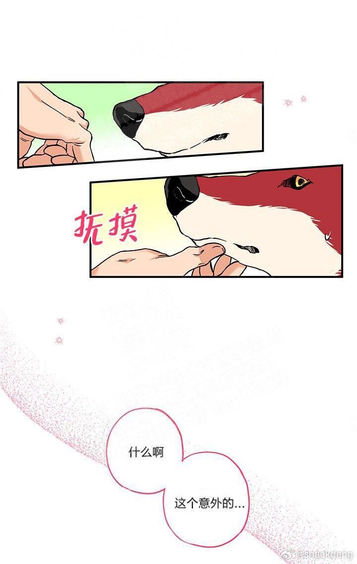 收养日记之引狼入室最新，自然美景探索之旅