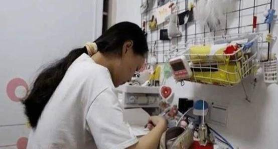江苏省高考状元最新揭秘，状元探秘之旅