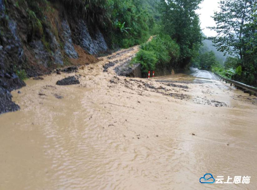 湖北鹤峰暴雨最新消息，影响、观点与分析综述