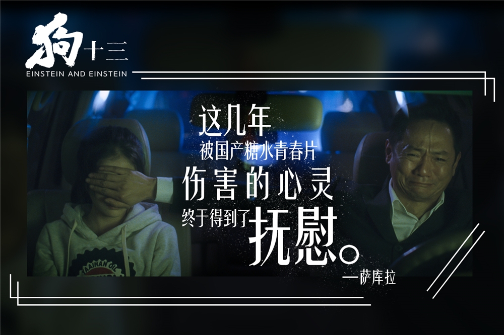 近期免费电影盘点，科技与生活的交融呈现