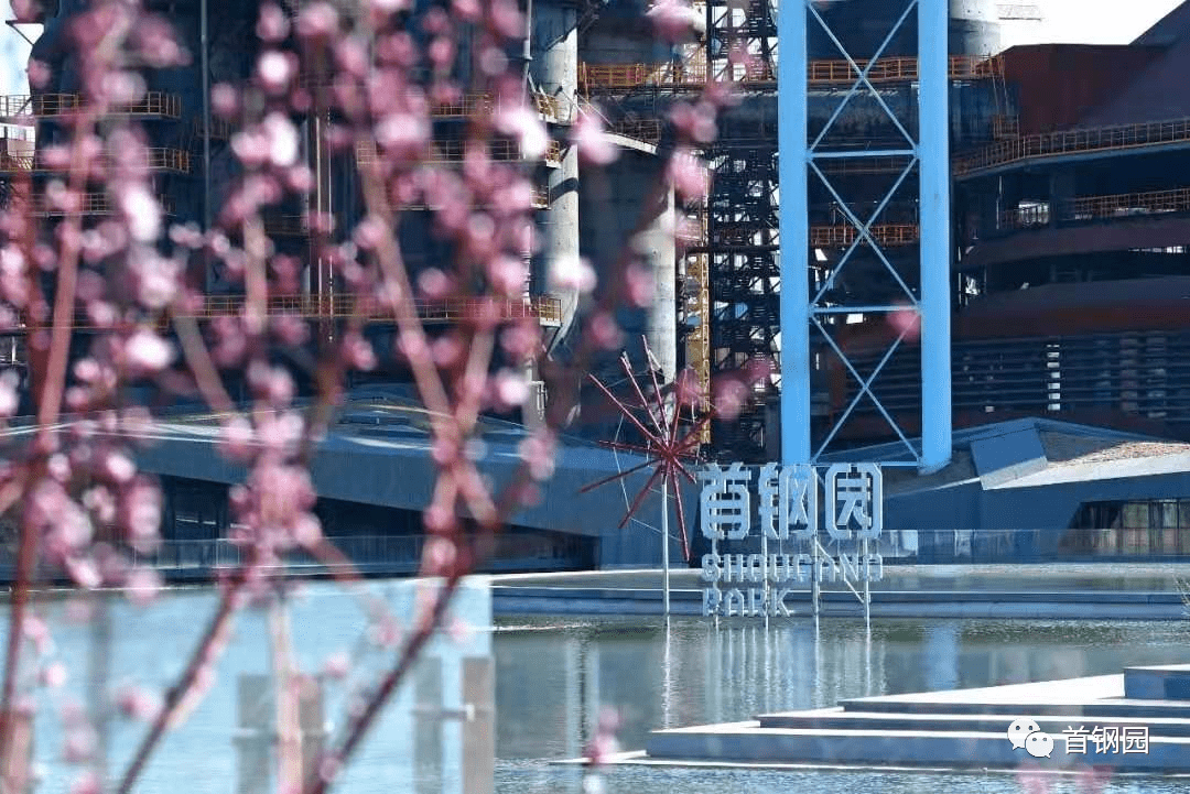 渝北马伟光最新动态，科技新品引领未来，重塑生活体验领袖人物专访