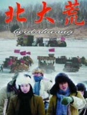 情系北大荒电视剧,情系北大荒电视剧，时代的记忆与荒原的情怀