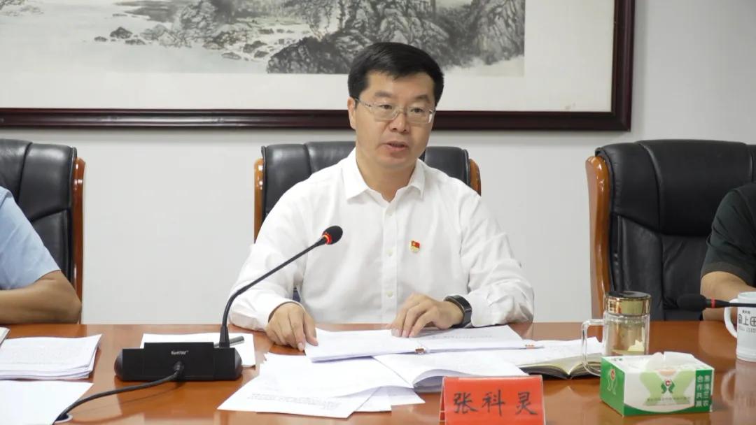 小组唱比赛，音乐与团队精神的完美融合之旅