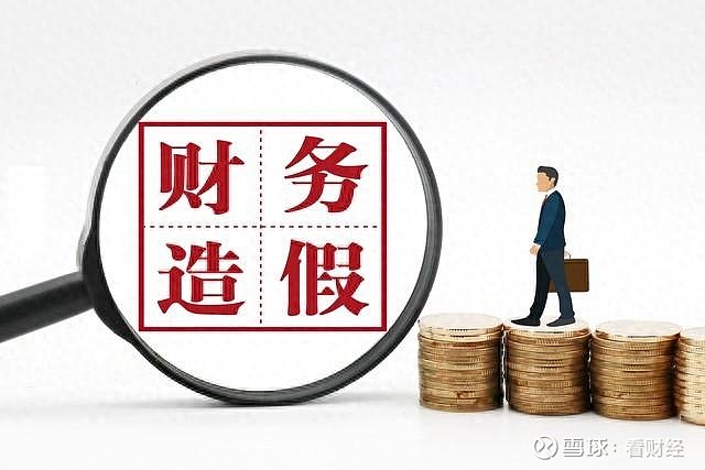 深巷隐秘中的会计真相，上市公司造假与特色小店的探索之旅