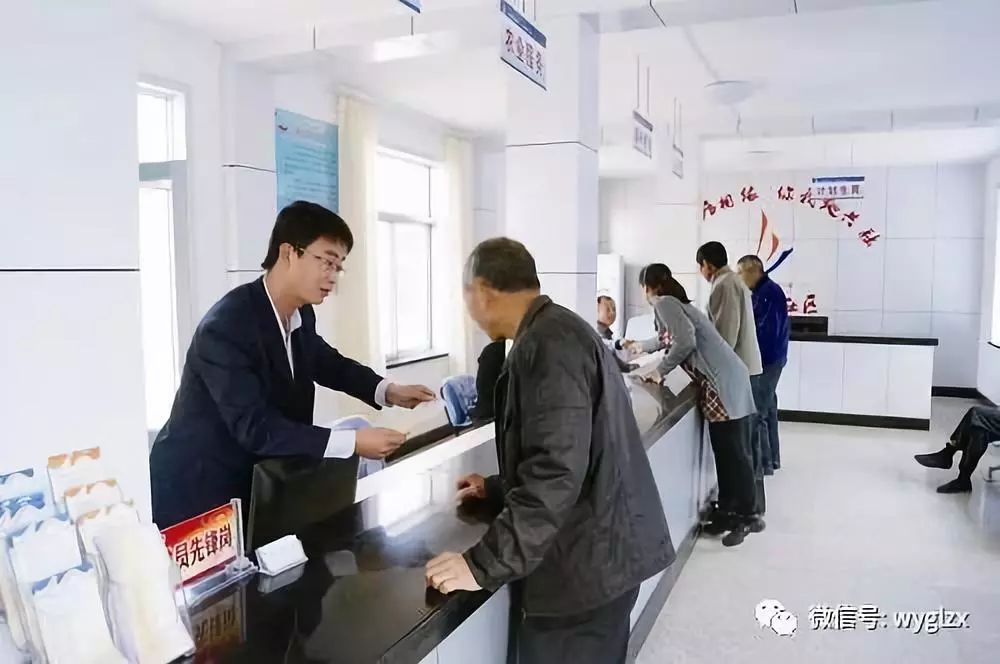 多维视角下的藿香市场动态深度解析与趋势展望