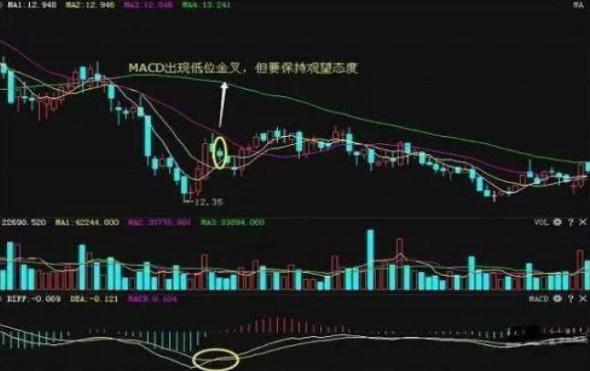 深度解析股市案例，成功与失败的股市之路探索