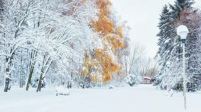 冬日雪景歌曲，音乐诗篇中的雪域浪漫