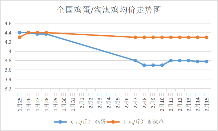 中国禽病网鸡蛋价格行情实时更新与趋势分析
