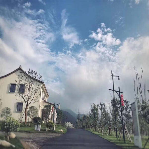 300662行情深度解析，洞悉市场走势