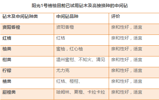 2025年新澳门天天开奖免费查询,全面性解释说明_掌中宝57.424