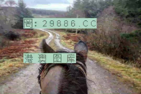 最准一肖一码一一香港澳王一王,最新数据挖解释明_时空版57.674