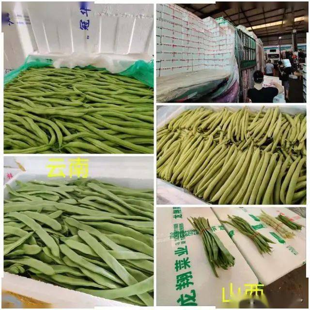 豆角批发价格行情，变化中的市场与自信的力量探索