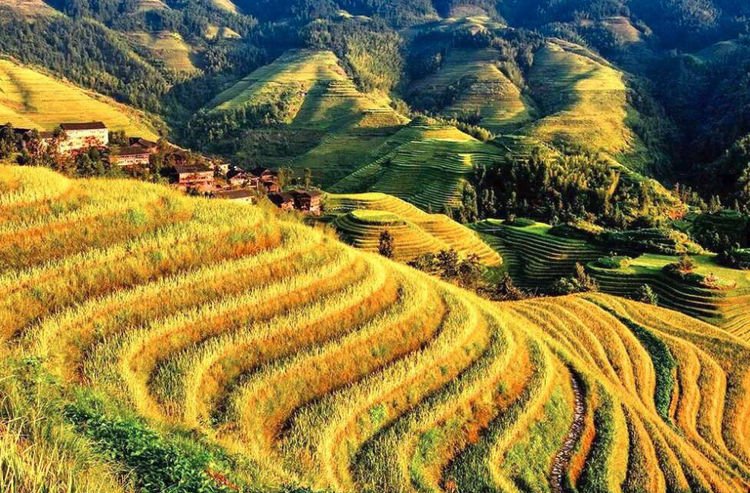 黑山梯田美景，详细探索与欣赏指南
