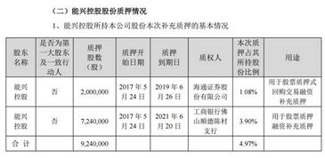 股权质押背后的独特故事，小巷深处的故事揭秘