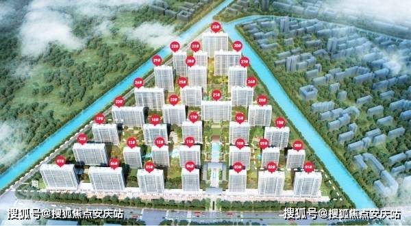 江苏盐城小麦行情概览与最新分析