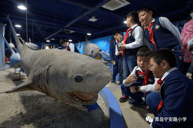 铁皮价格动态变化，学习之旅中的自信与成就感之源