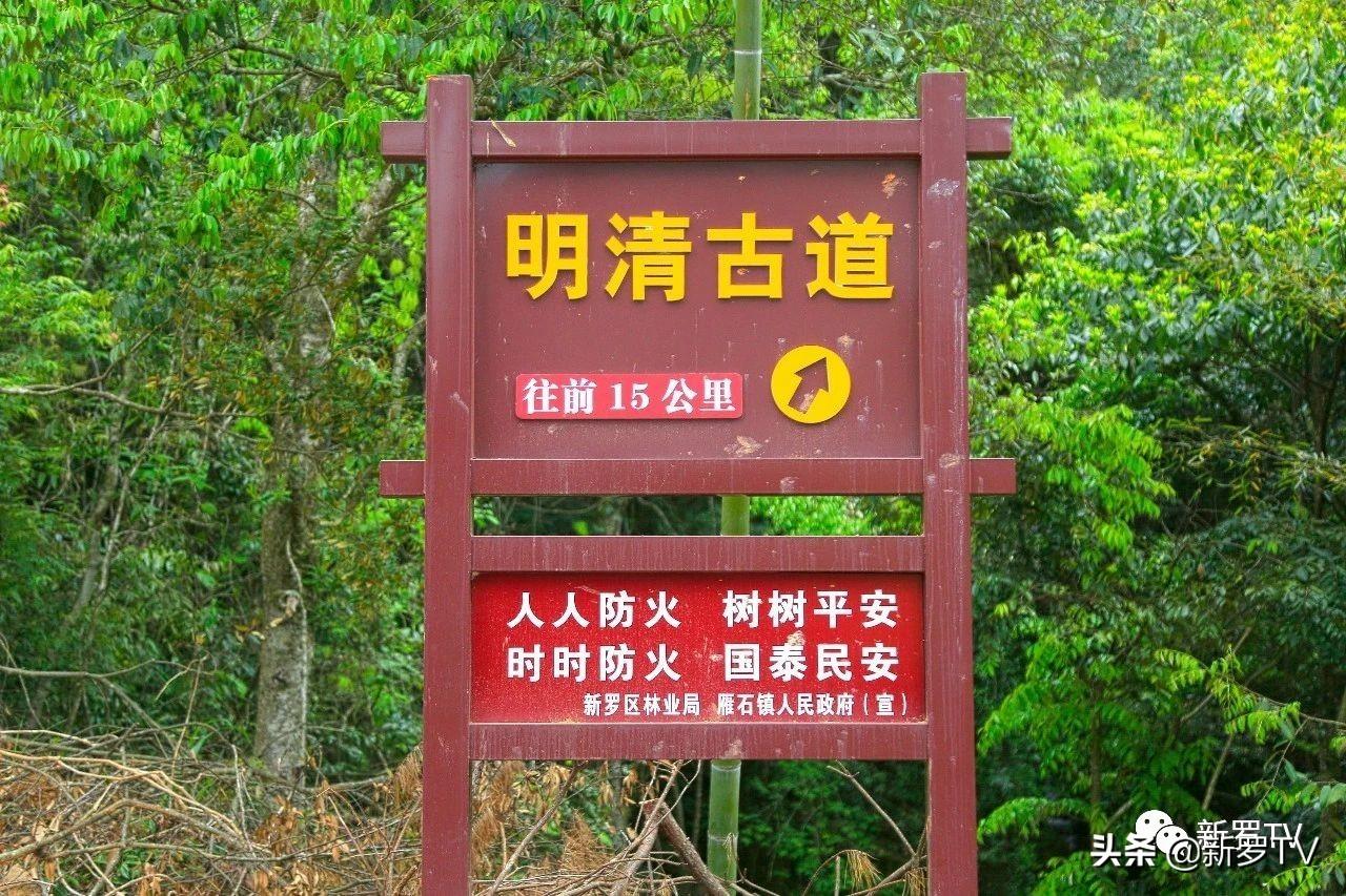 现代简约电视背景墙效果图，自然美景与内心平和的探索之旅