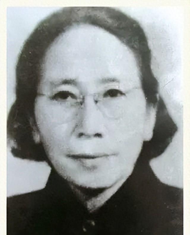 地震电影，探寻自然美景之旅，寻找内心的宁静