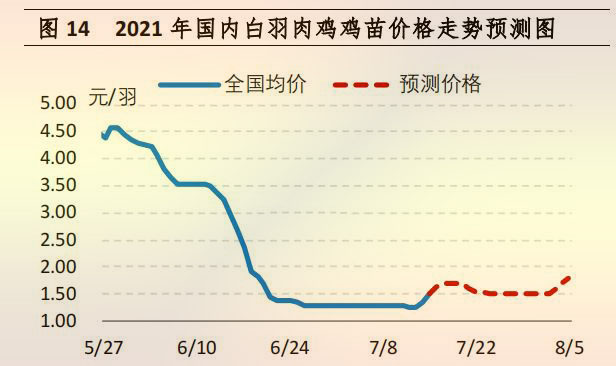 肉鸡苗行情分析与预测