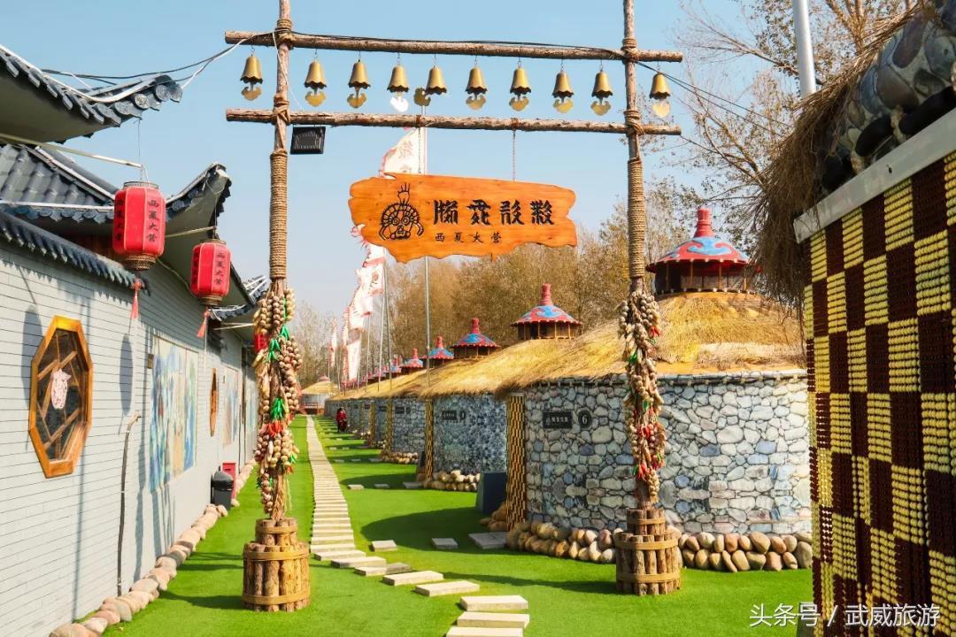 陕西最新消息揭秘，探寻西北之星的璀璨发展之路