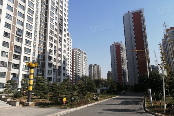 邹城金山新苑最新价格及市场走势深度解析