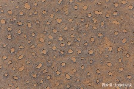 小巷深处的秘密宝藏，新型高效清洁布揭秘