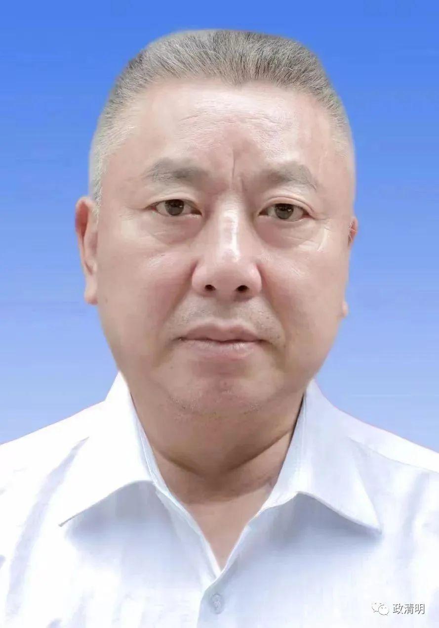 宜宾39路公交车最新路线指南，初学者与进阶用户适用