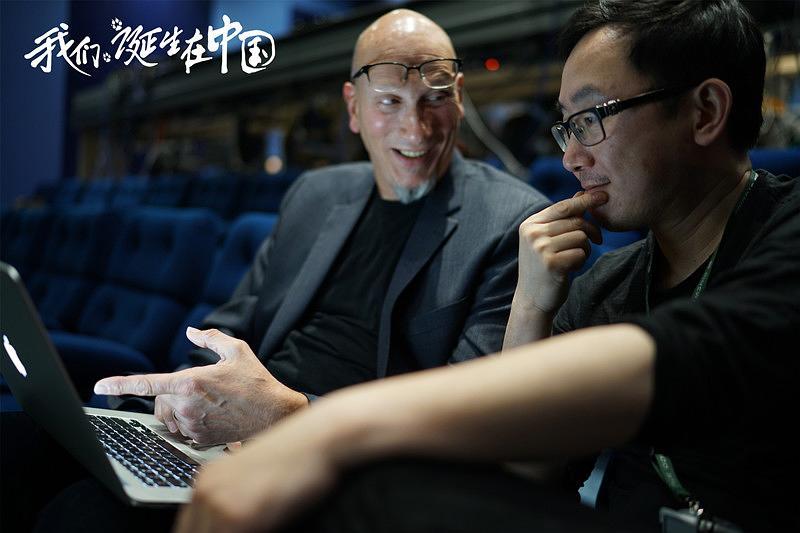 七根凶简电视剧，日常趣事与深厚友情的探索之旅