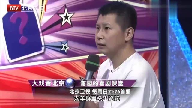 卫视最新电视剧，时代印记与文化繁荣的交融展现