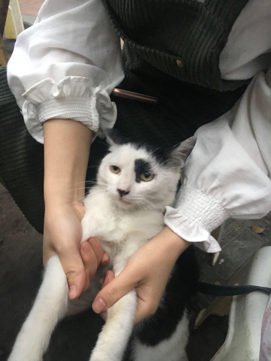 最新蓝牙音箱，小巷中的音乐奇遇之旅