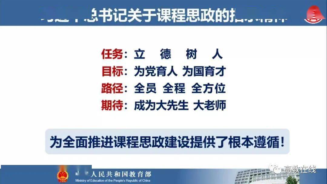 苏若雪全面解析与观点阐述最新报道