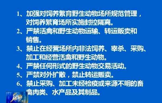 新冠状病毒最新动态，全面了解和应对新冠状病毒的任务指南