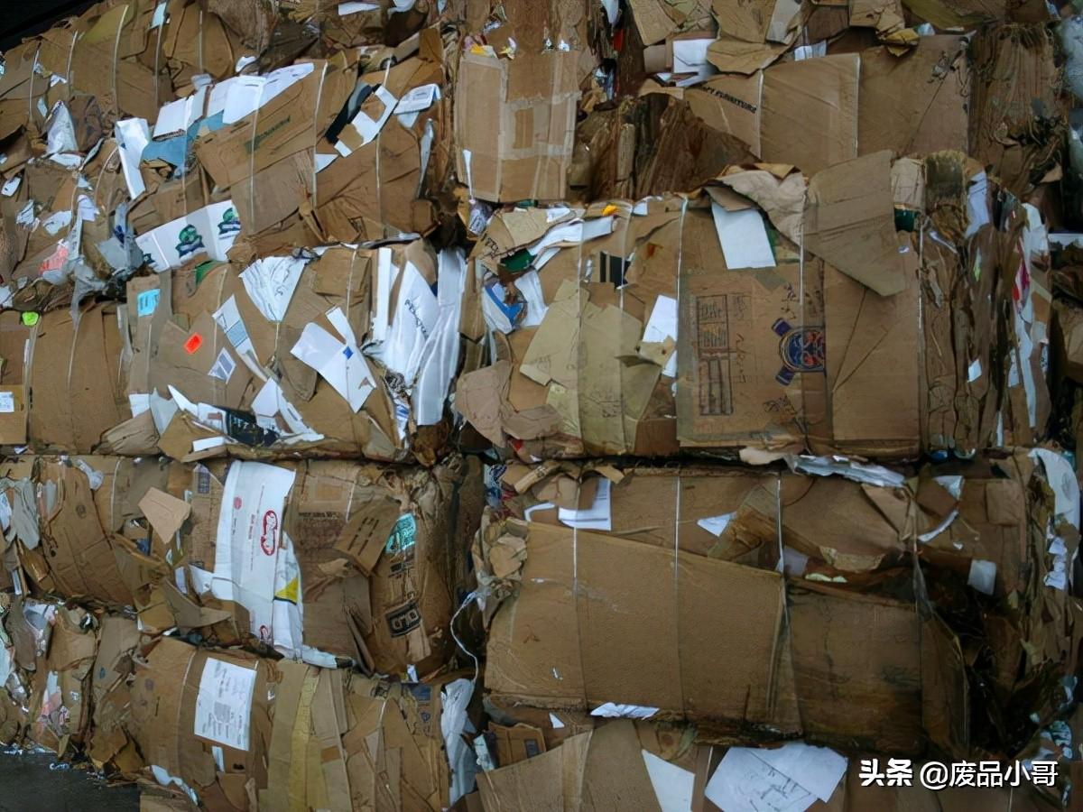 最新废纸回收价格深度解析及趋势预测