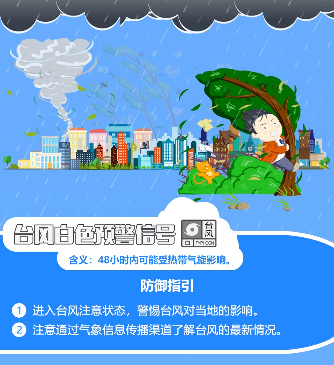 中国最新台风消息下的温馨日常故事，风雨中的守护与关怀