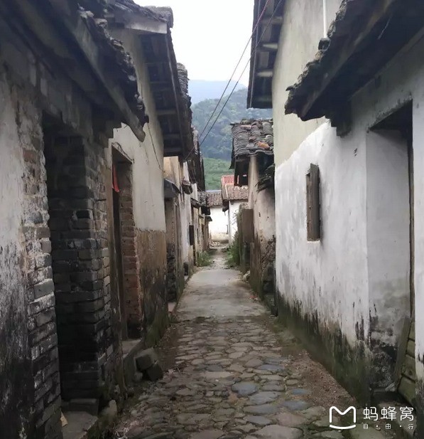 竹镇镇最新规划揭秘，小巷深处的独特风情与神秘小店探索