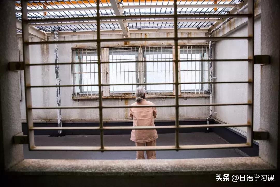 彭博最新消息深度解析与多方观点探讨