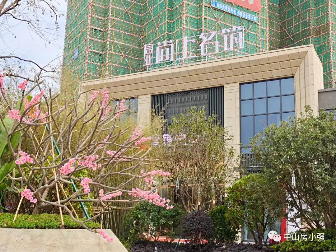 最新电影列表详解，一步步带你了解最新电影指南