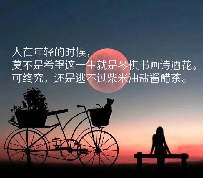最新经典语录，与大自然私密之约，探寻内心平和静谧的旅程