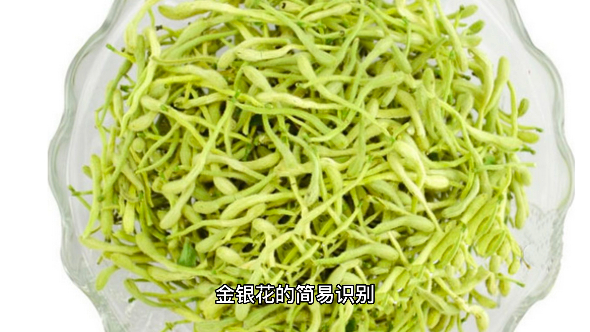 金银花最新价格大揭秘，小红书分享火热进行中🌼