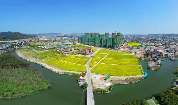 台州台风最新动态，各方观点分析与个人立场表达