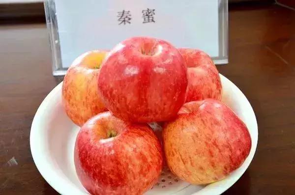 苹果最新品种，时代进步的果实展示